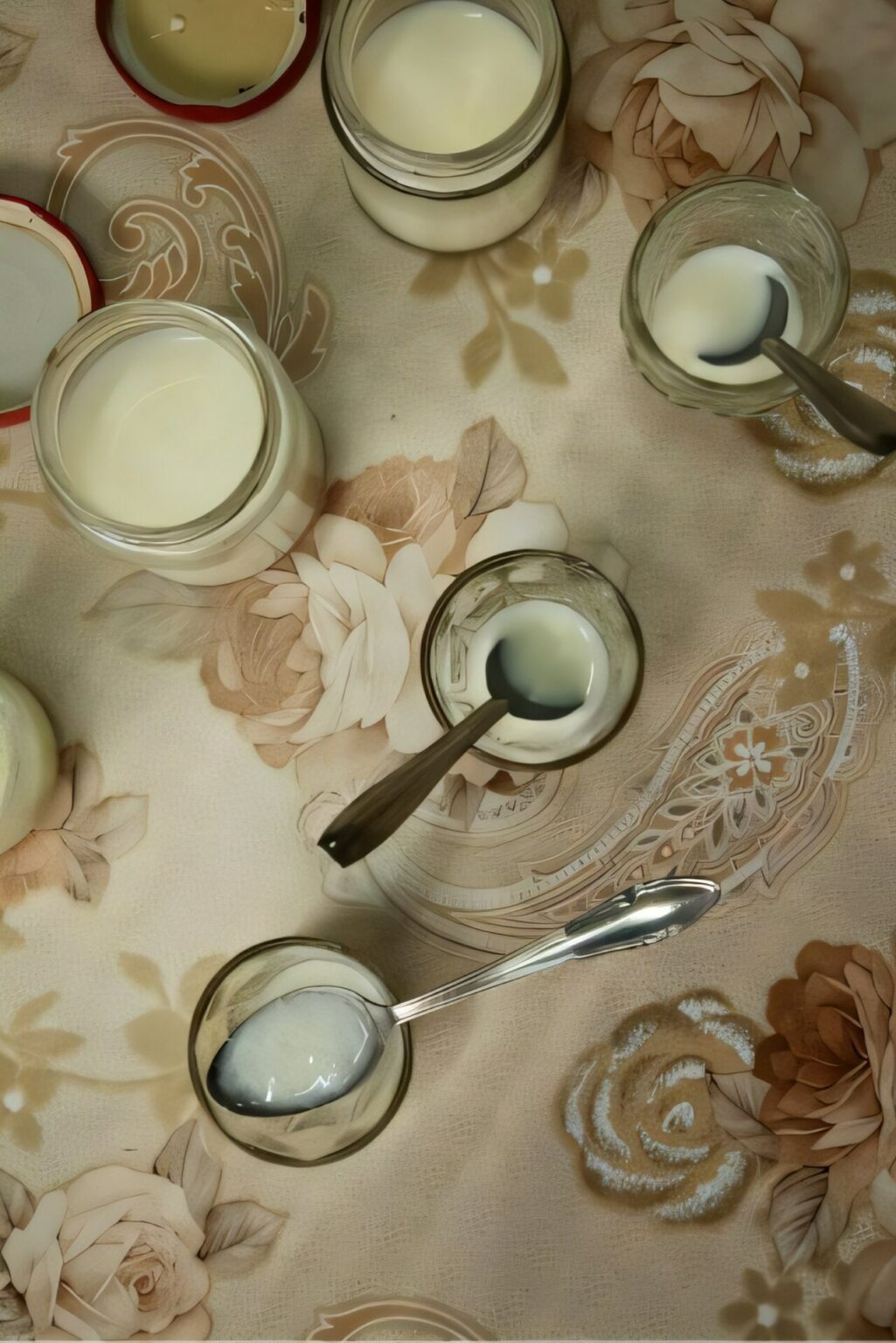 Công thức làm sữa chua từ kiến